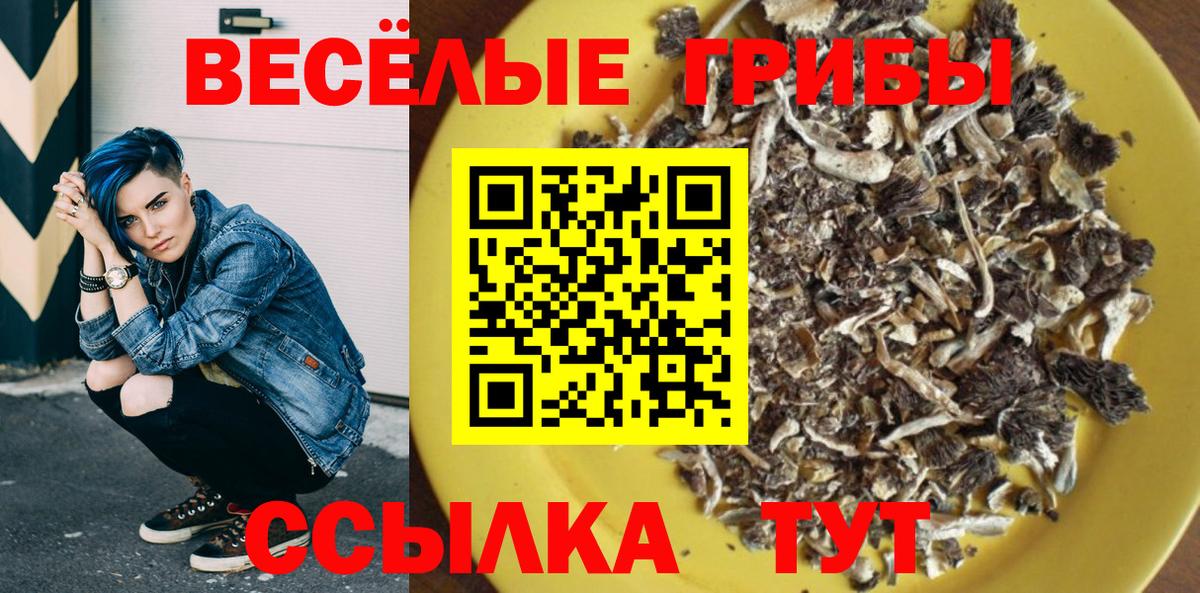 Псилоцибиновые грибы мицелий  магазин продажи   Стрежевой  Вход с VPN 